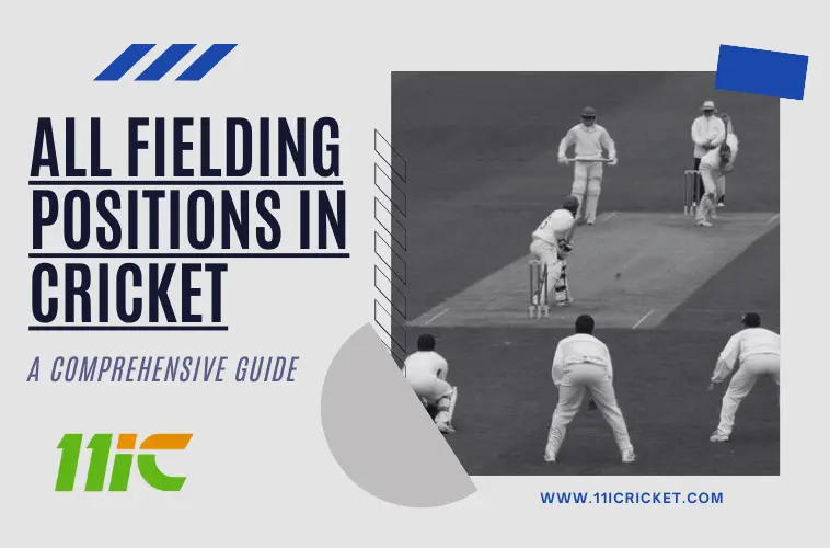 All Fielding Positions in Cricket